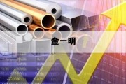 金一明_金一明练功秘诀pdf