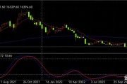 比特币2015年1月价格的简单介绍