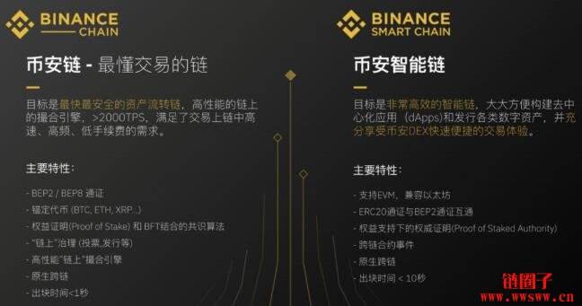 bnb是什么币，BNB是什么币种