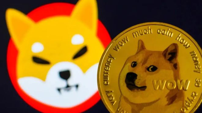 2022年狗狗币还能升吗，2020年狗狗币涨了多少倍