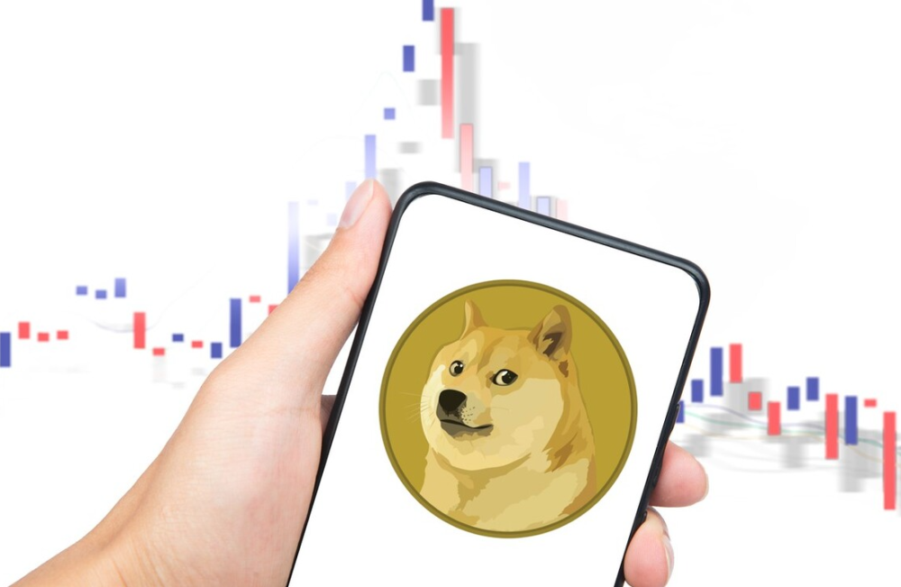 狗狗币2022年涨多少，2021年狗狗币能涨价吗