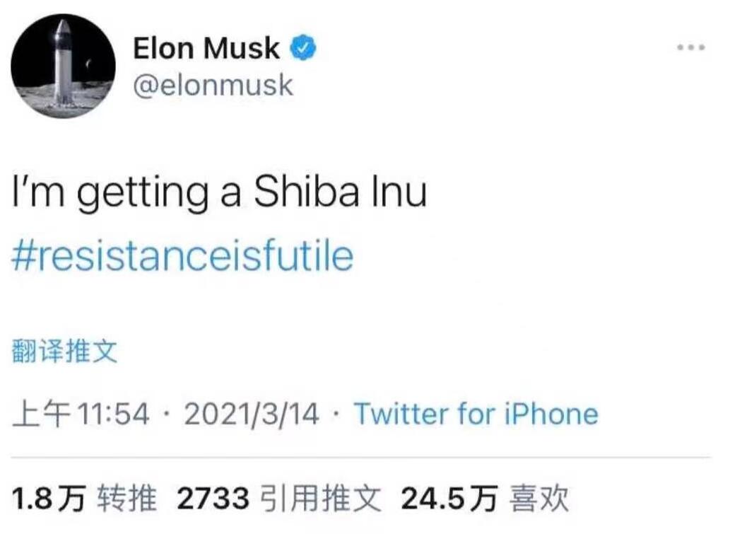 包含shib币屎币最新消息的词条