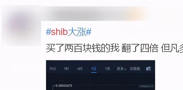 包含shib币屎币最新消息的词条