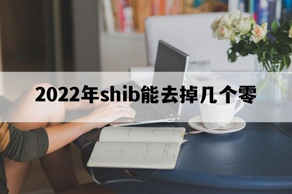 2022年shib能去掉几个零_2022未来4种暴涨的币