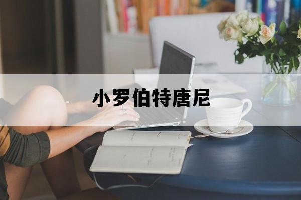 小罗伯特唐尼_小罗伯特唐尼年轻时的图片