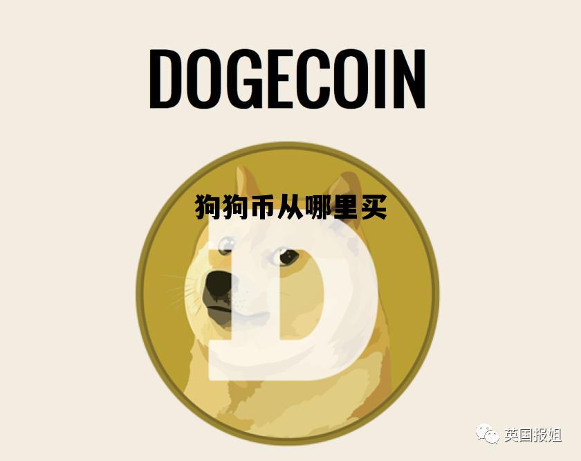 狗狗币从哪里买，狗狗币能在哪里买