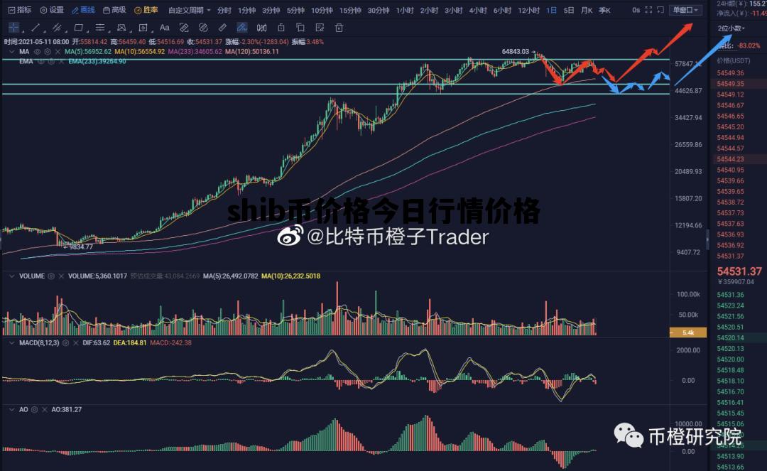 shib币价格今日行情价格，shib币价格今日行情价格人民币