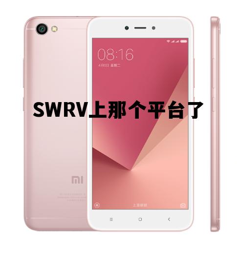 SWRV上那个平台了的简单介绍