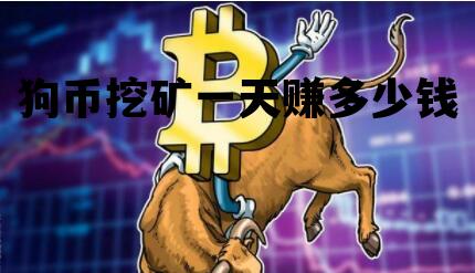 狗币挖矿一天赚多少钱，狗币挖矿一天赚多少钱合适