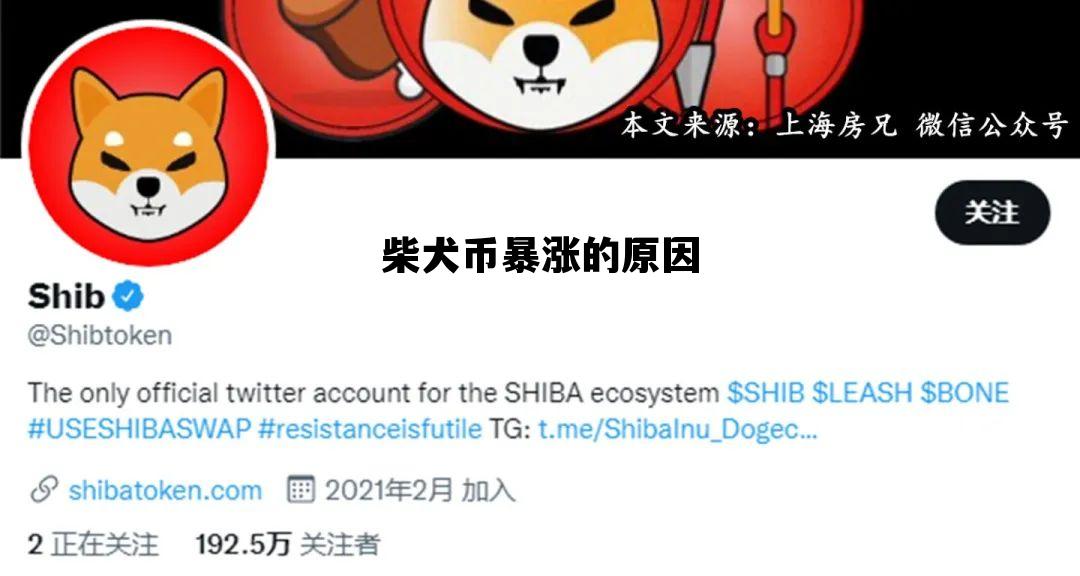 柴犬币暴涨的原因的简单介绍