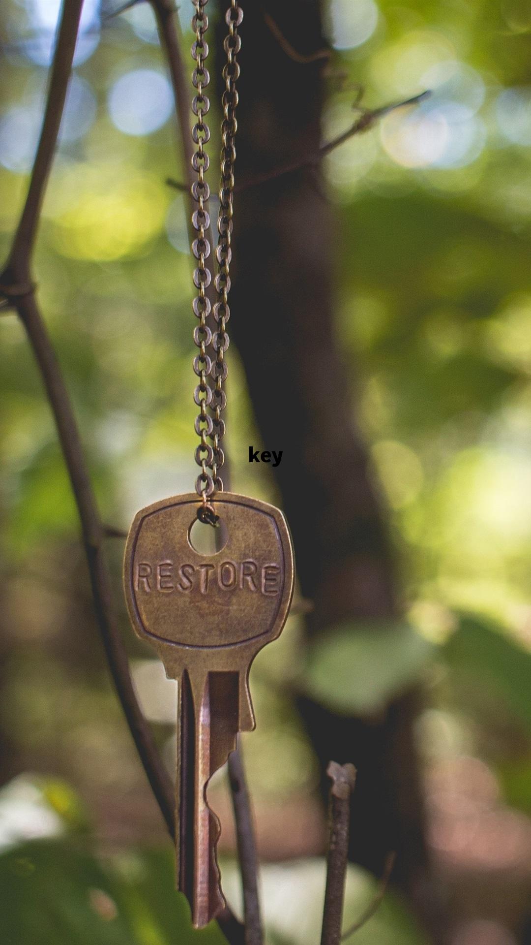 key，key的复数