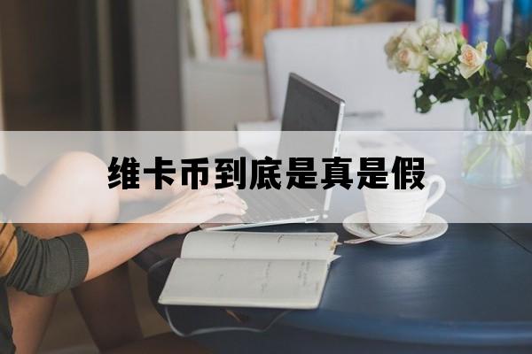 维卡币到底是真是假_维卡币是真的吗