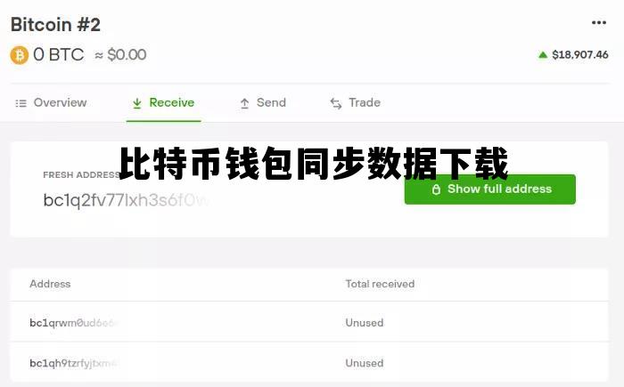 比特币钱包同步数据下载，比特币钱包同步数据下载安卓