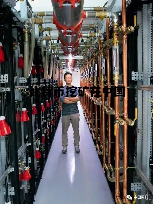 比特币挖矿在中国，比特币挖矿在中国合法吗