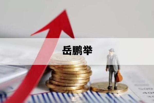 岳鹏举_岳公鹏举是谁