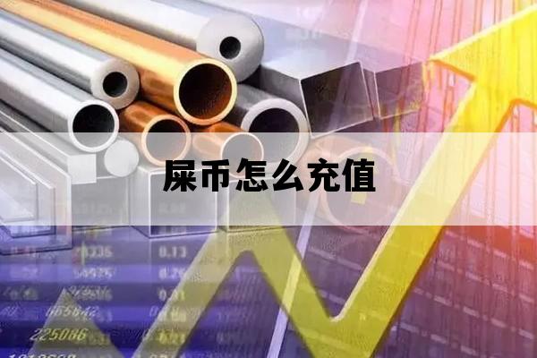 屎币怎么充值_屎币怎么提现到钱包