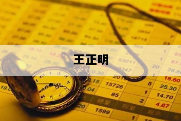 王正明_东阳王正明