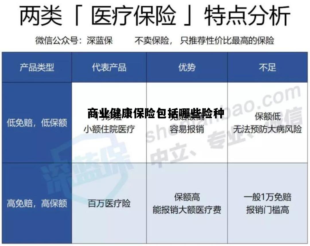 包含商业健康保险包括哪些险种的词条