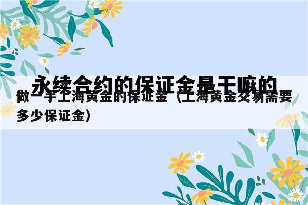 永续合约的保证金是干嘛的，永续合约保证金率越高越好吗