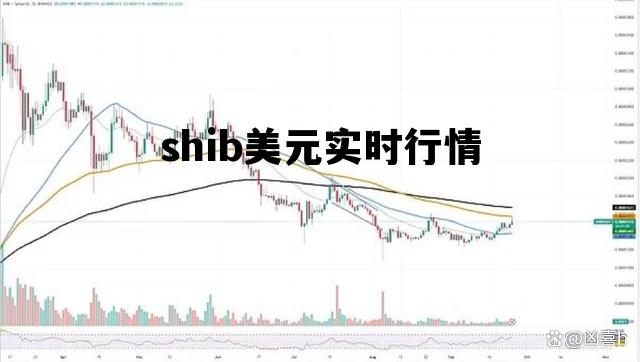 shib美元实时行情，美元实时动态
