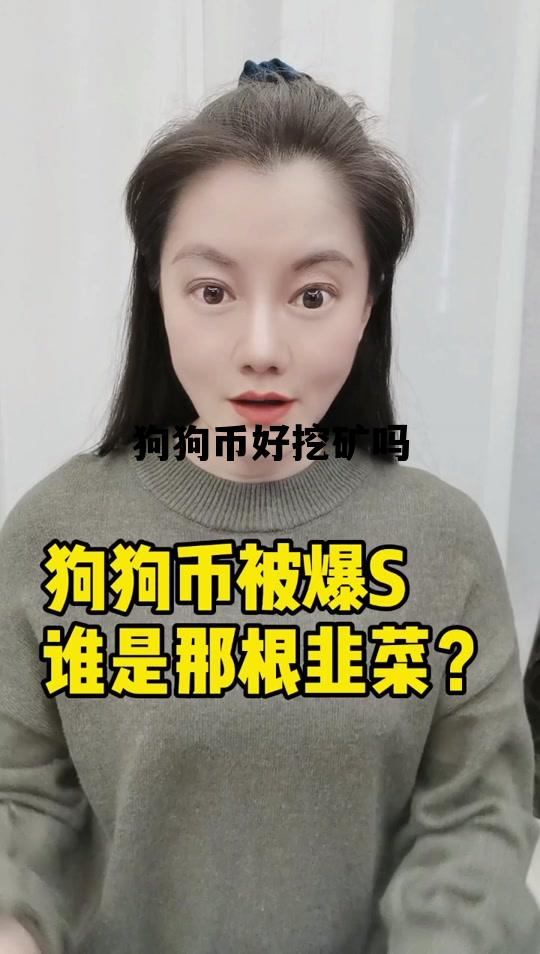 狗狗币好挖矿吗，狗狗币还能挖矿吗