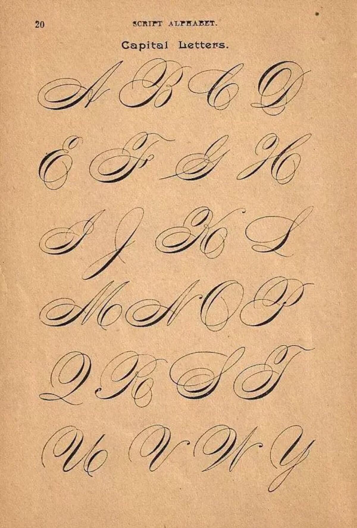 英语花体字，英文花体字在线转换