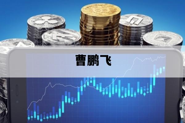 曹鹏飞_上海曹飞鹏